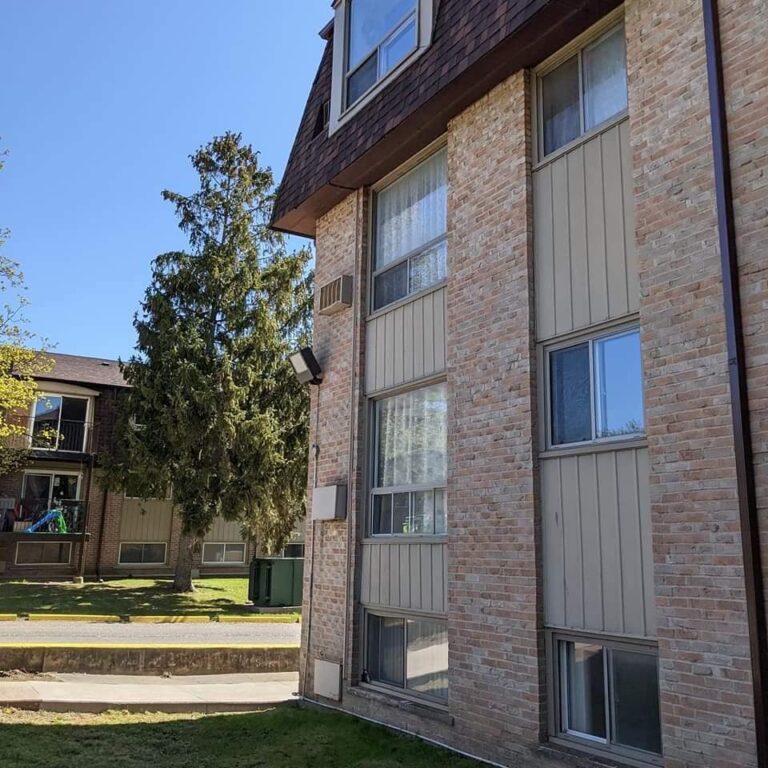 Our Projects Quentin DSouza