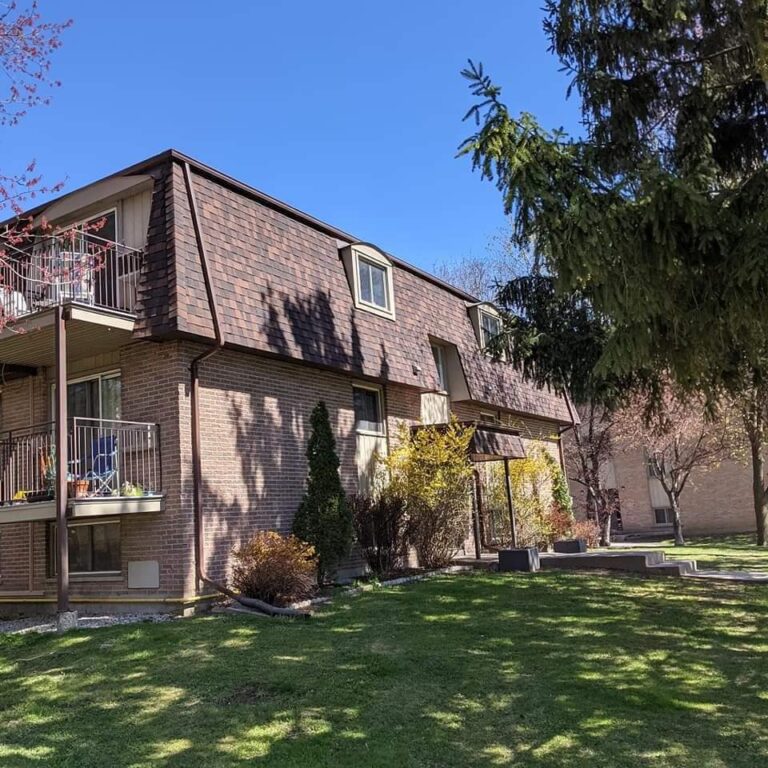 Our Projects Quentin DSouza